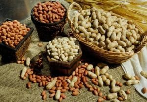 A table filled with different types of beans.